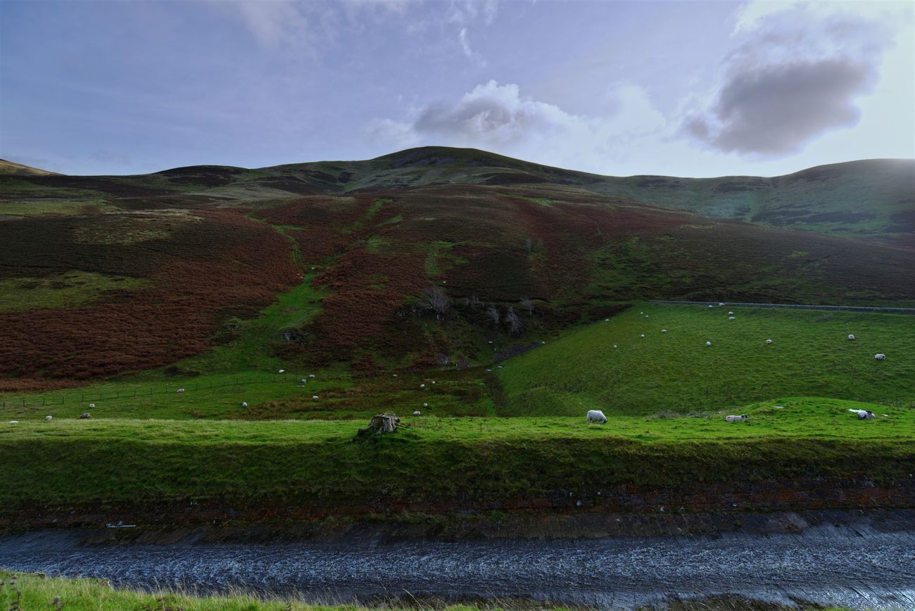 Half-term on Ilkley Moor: the Cow and Calf with a six- and nine-year-old