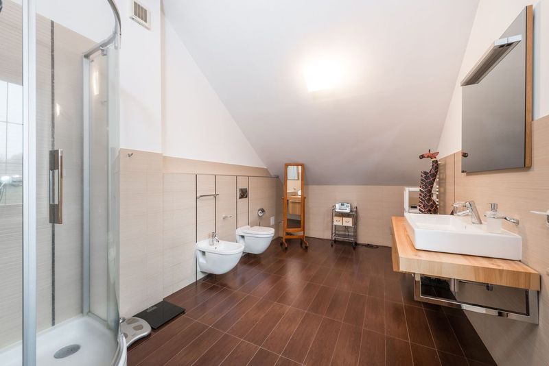 The black mould above our shower, and what finally kept it away
